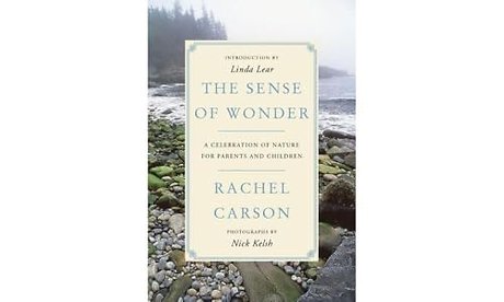 The Sense of Wonder