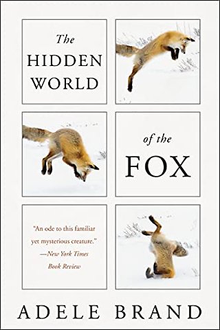 Hidden World of the Fox
