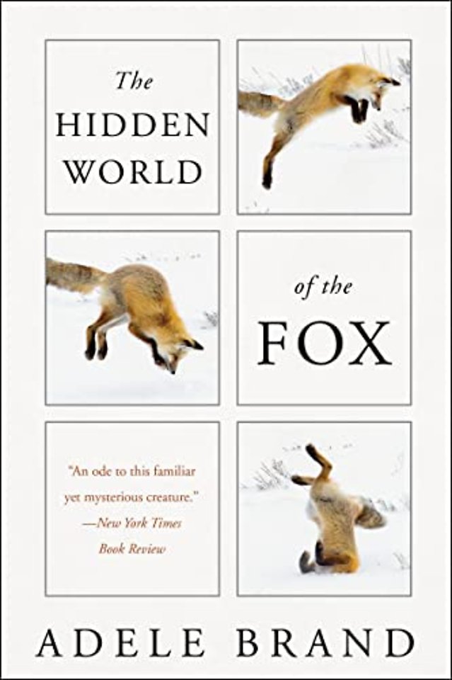 Hidden World of the Fox