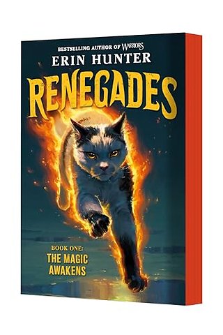 Renegades #1: The Magic Awakens
