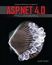 ASP.NET 4.0 Programming ASP.NET 4.0 Programming