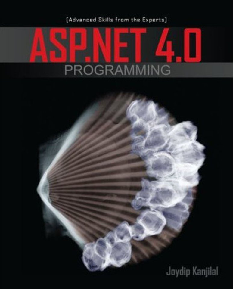 ASP.NET 4.0 Programming ASP.NET 4.0 Programming