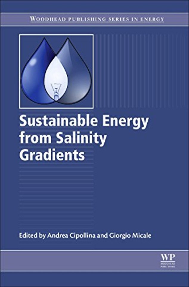 Sustainable Energy from Salinity Gradients