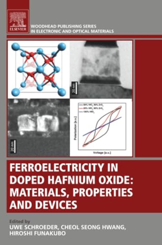 Ferroelectricity in Doped Hafnium Oxide