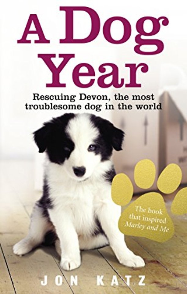 A Dog Year