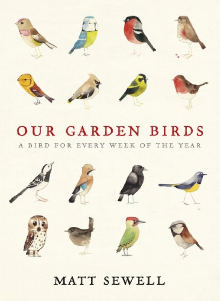 Our Garden Birds