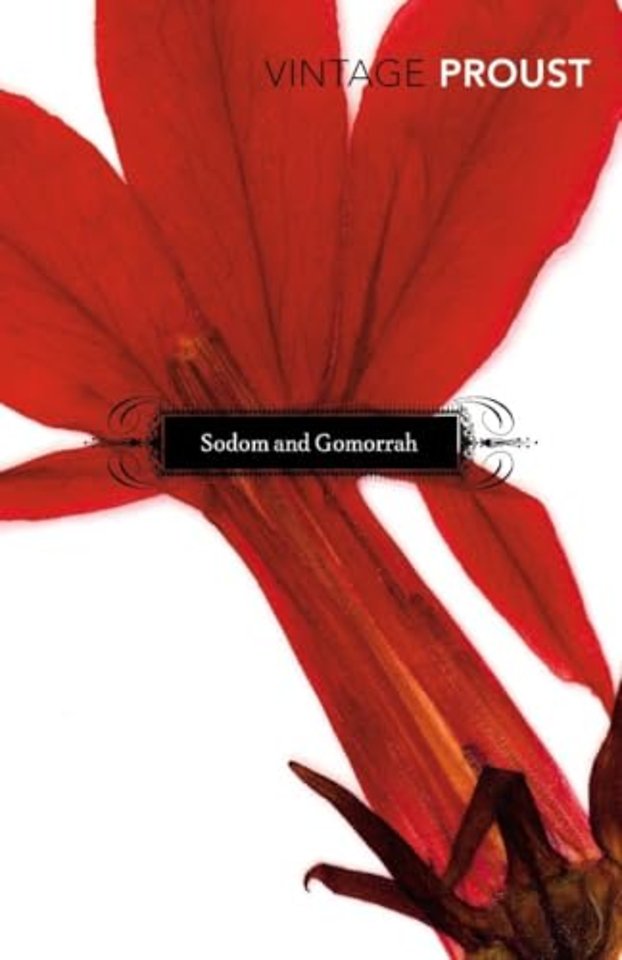 In Search of Lost Time, Vol 4