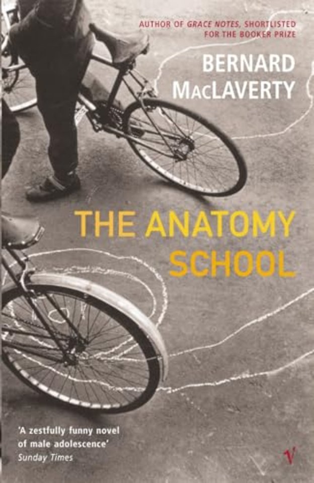 The Anatomy School