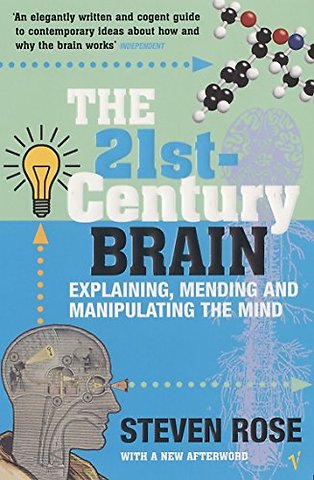 The 21st Century Brain
