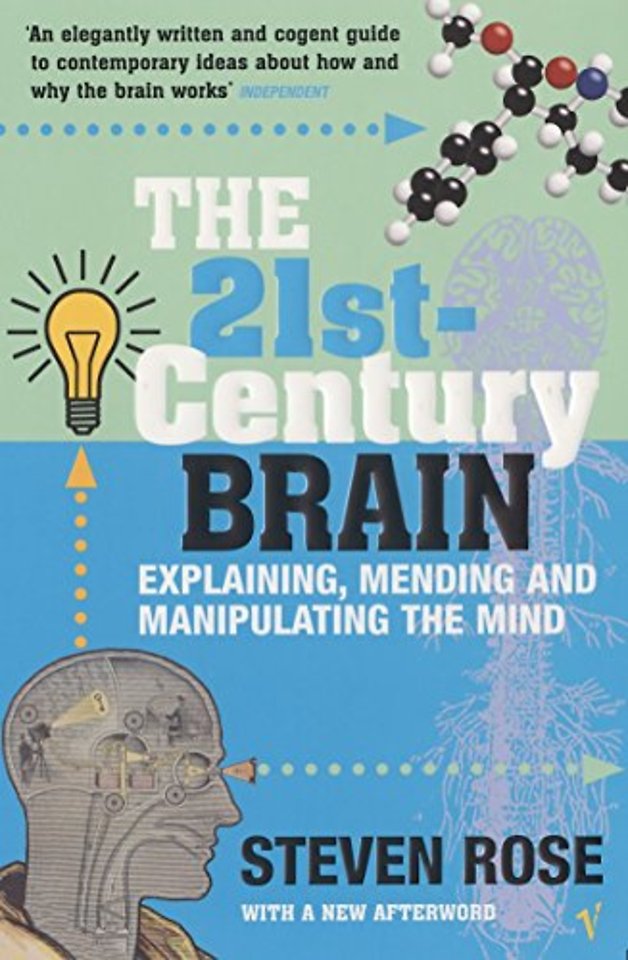 The 21st Century Brain
