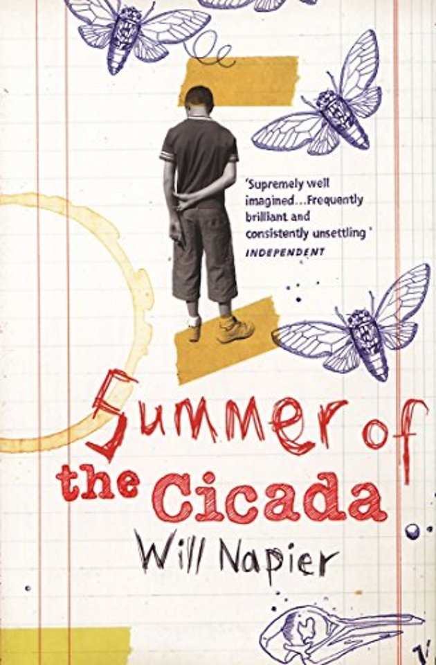 Summer Of The Cicada