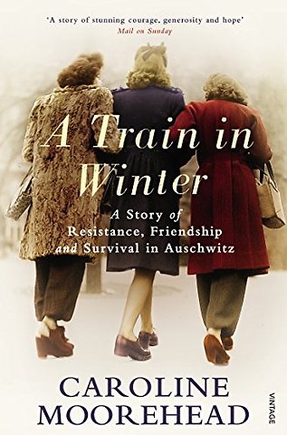 A Train in Winter