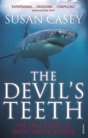 The Devil's Teeth