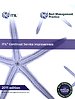 ITIL Continual Service Improvement - 2011 Edition
