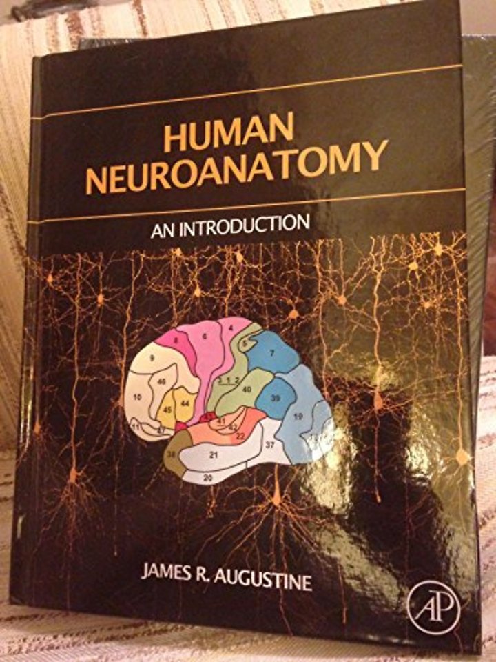 Human Neuroanatomy