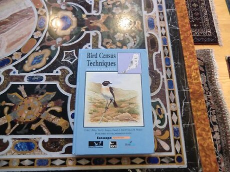 Bird Census Techniques