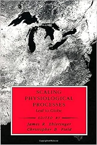 Scaling Physiological Processes