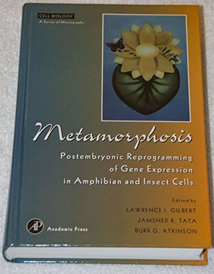 Metamorphosis