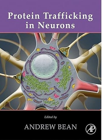 Protein Trafficking in Neurons
