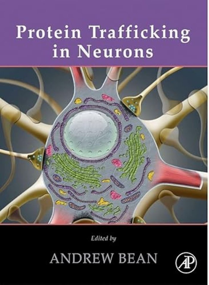 Protein Trafficking in Neurons