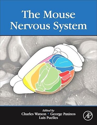 The Mouse Nervous System