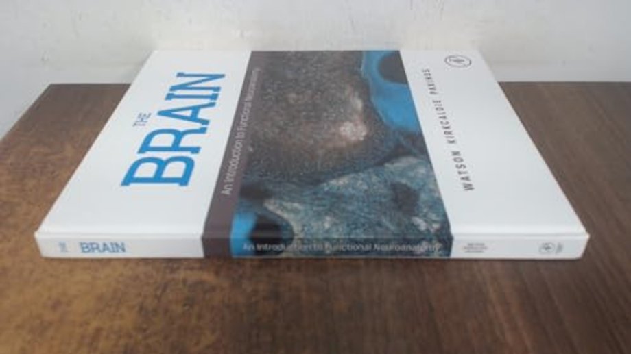 The Brain
