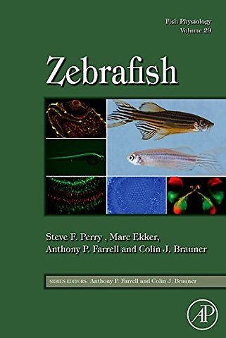 Fish Physiology: Zebrafish