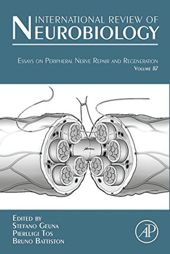 Essays on Peripheral Nerve Repair and Regeneration
