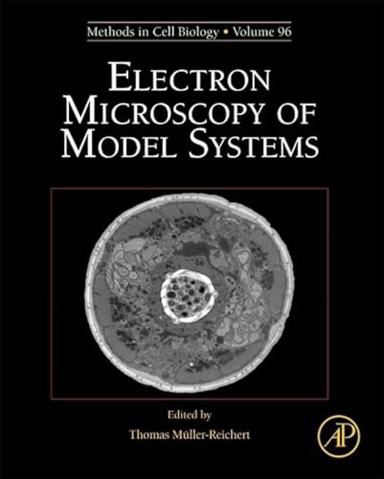 Electron Microscopy of Model Systems