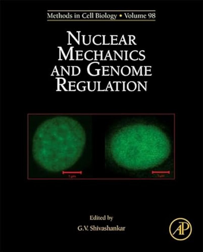 Nuclear Mechanics and Genome Regulation