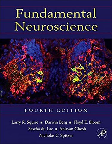 Fundamental Neuroscience
