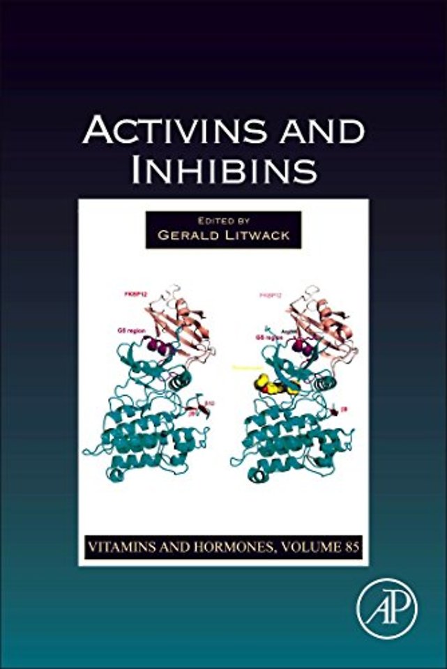 Activins and Inhibins