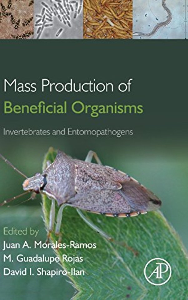 Mass Production of Beneficial Organisms