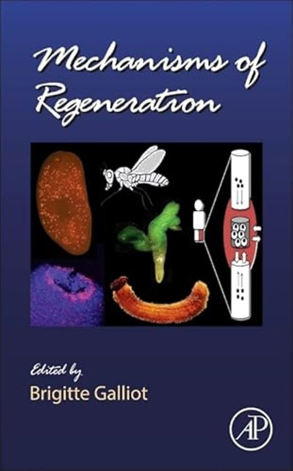 Mechanisms of Regeneration