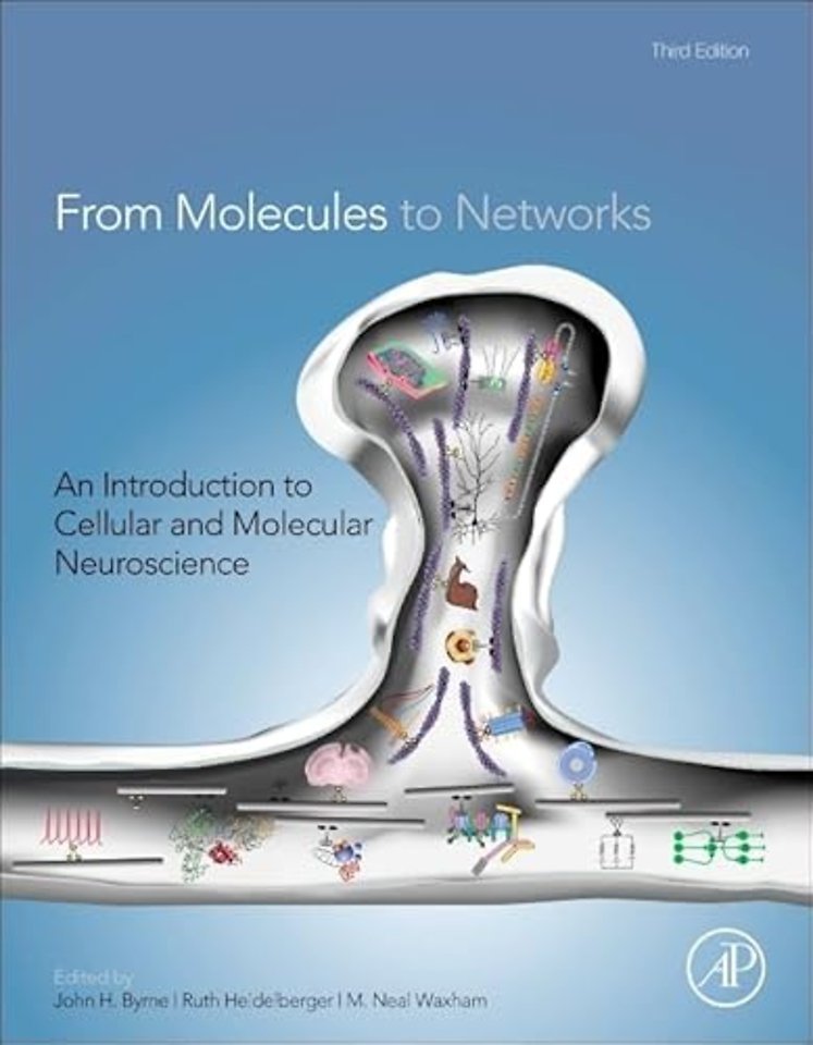 From Molecules to Networks