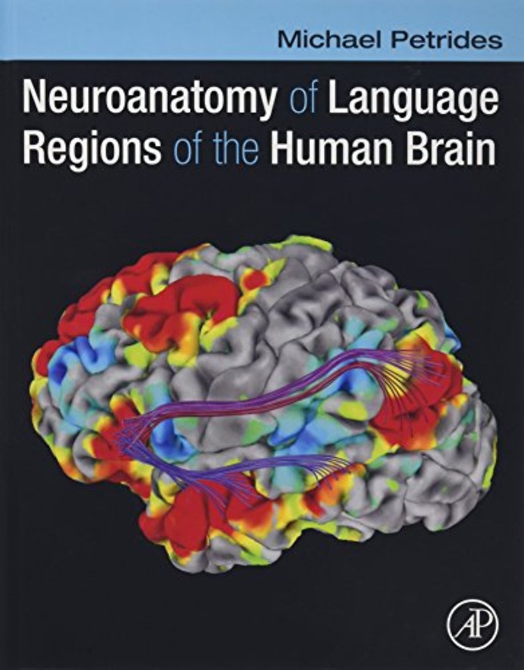 Neuroanatomy of Language Regions of the Human Brain