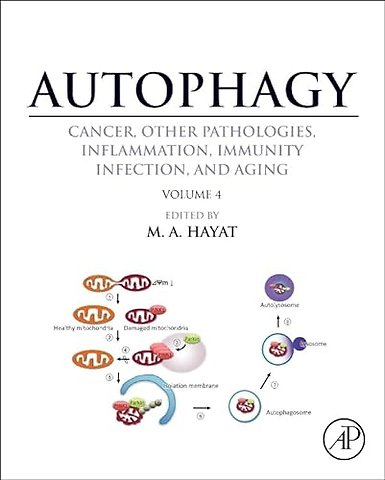 Autophagy: Cancer, Other Pathologies, Inflammation, Immunity, Infection, and Aging