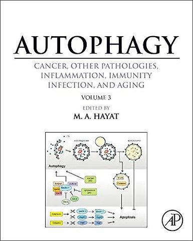 Autophagy: Cancer, Other Pathologies, Inflammation, Immunity, Infection, and Aging
