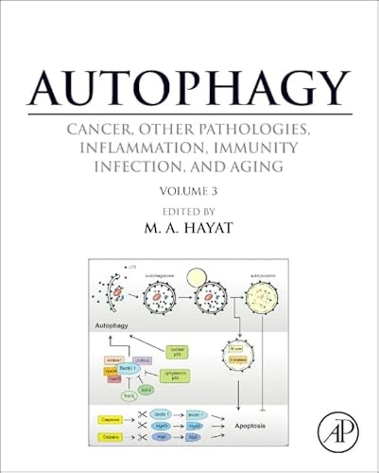 Autophagy: Cancer, Other Pathologies, Inflammation, Immunity, Infection, and Aging