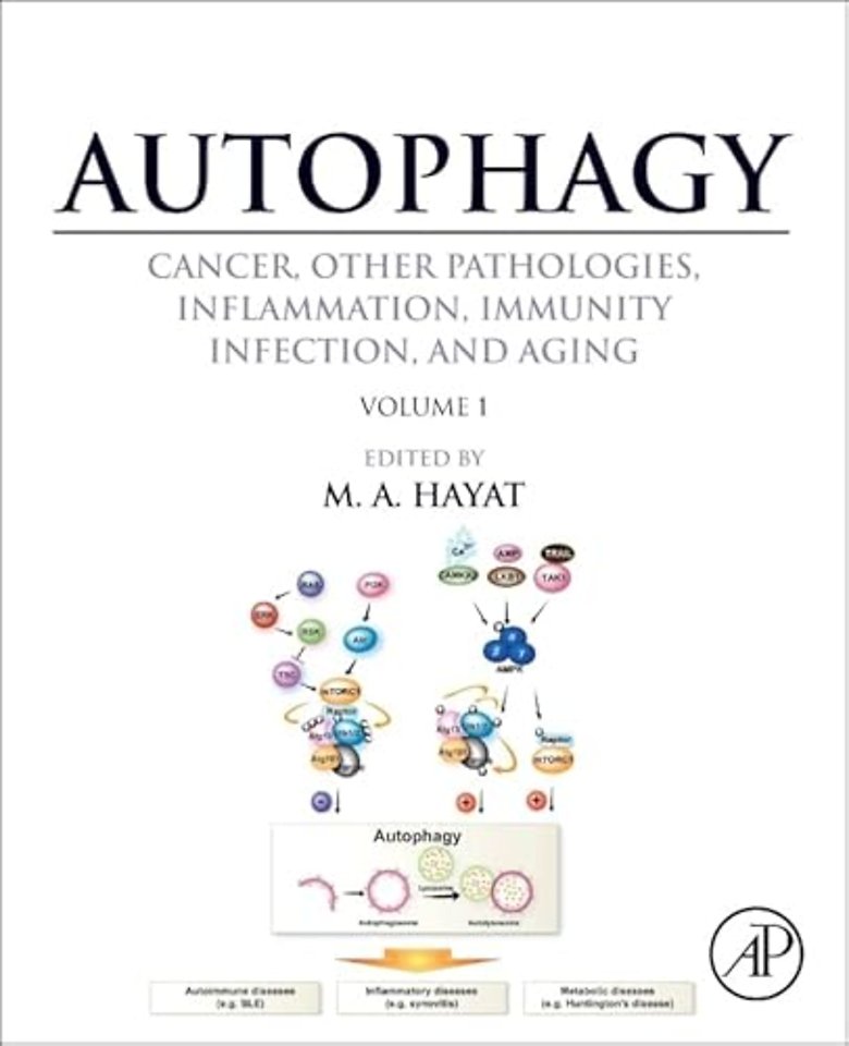 Autophagy: Cancer, Other Pathologies, Inflammation, Immunity, Infection, and Aging