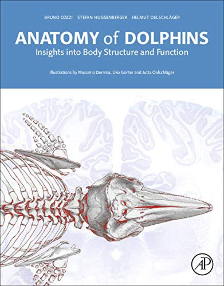 Anatomy of Dolphins