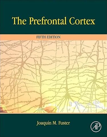 The Prefrontal Cortex