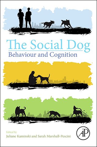The Social Dog