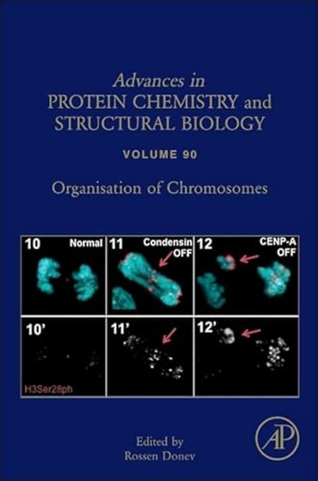 Organisation of Chromosomes