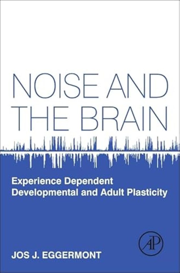 Noise and the Brain