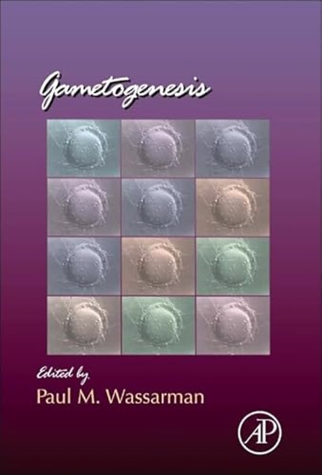 Gametogenesis