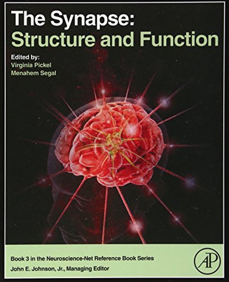 The Synapse