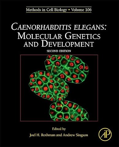 Caenorhabditis Elegans