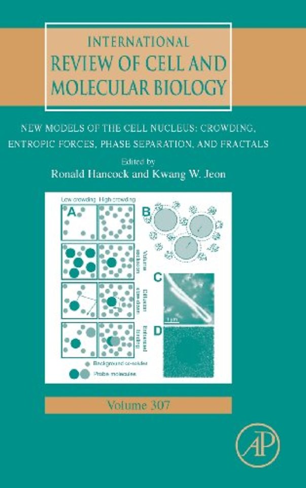New Models of the Cell Nucleus: Crowding, Entropic Forces, Phase Separation, and Fractals