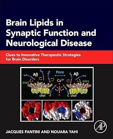 Brain Lipids in Synaptic Function and Neurological Disease
